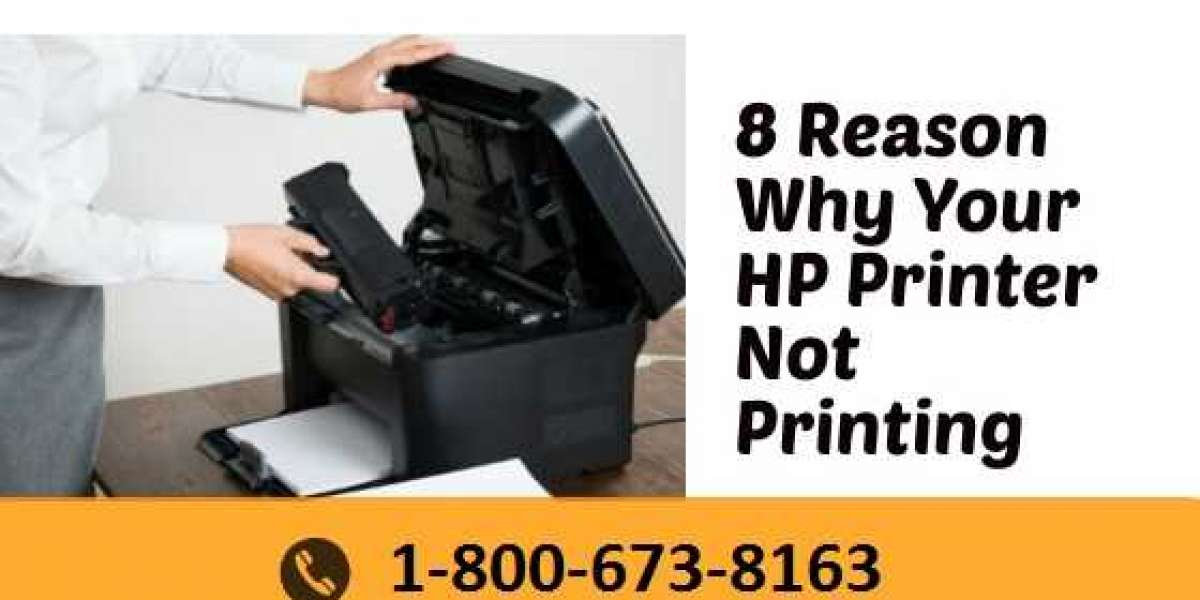 8 Reason Why Your HP Printer Not Printing