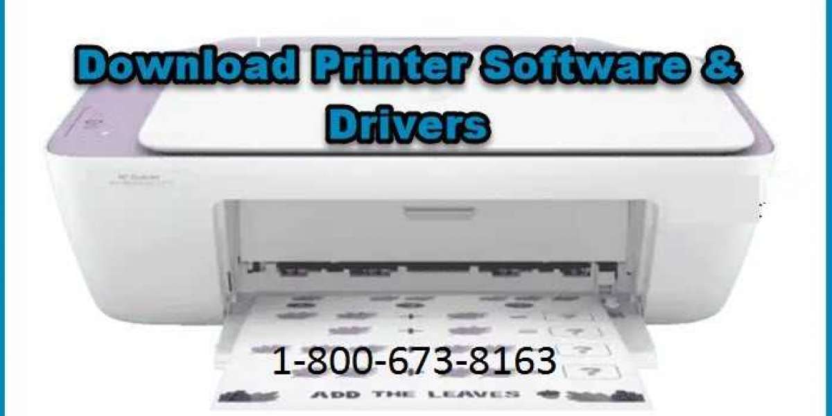 How to Download HP Printer Software?[Complete Guide]