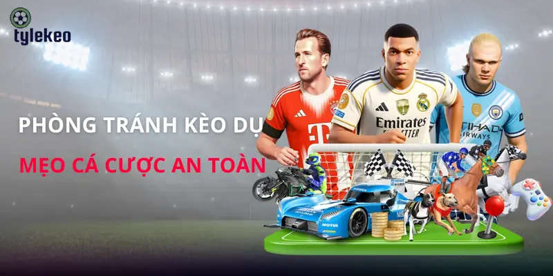 phong-tranh-keo-du